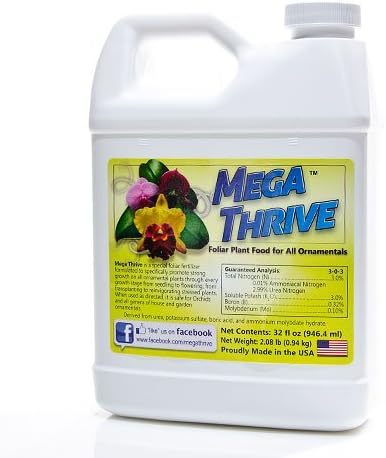 Megathrive -- Case of 12