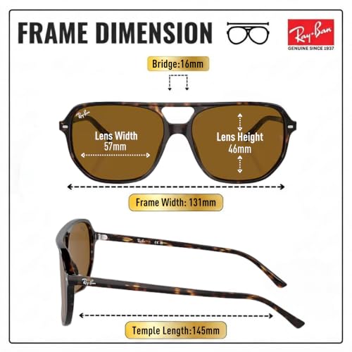 Image of Ray-Ban RB2205 BILL ONE Square-Round Sunglasses with Official Eyewear Kit