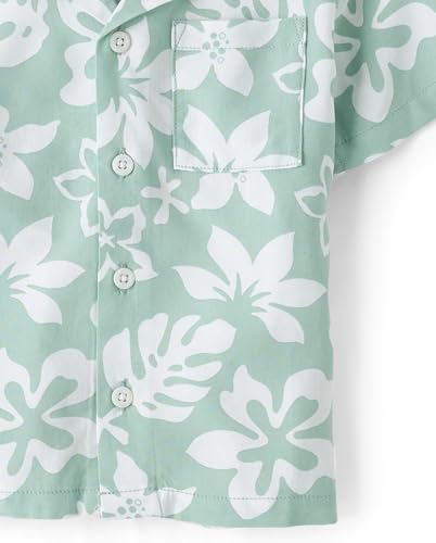 Image of The Children's Place Baby Boys' and Toddler Poplin Short Sleeve Button Down Shirt