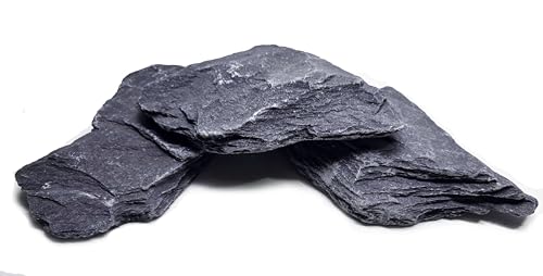 VRX[gXg[ - 8~10C`AJBكANAXP[vAeEAp_EAim^NA঒ރGN[Wp̍i(8-9|h)