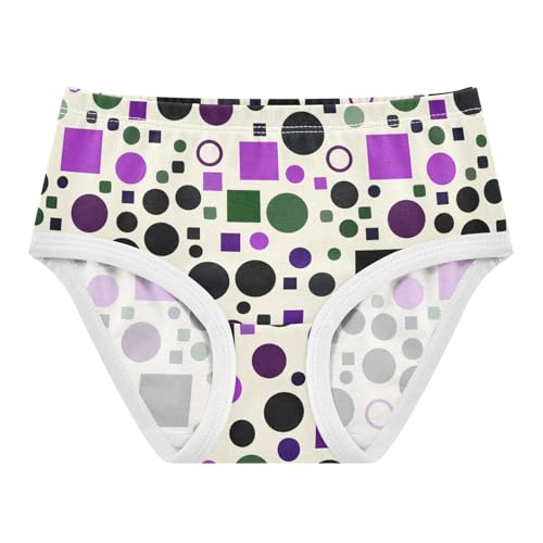 Abstract Geometry Toddler Girls's Underwear 2T 2302885