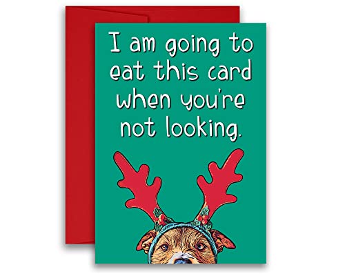 Dog Card Christmas Holiday Card From the Dog Dog Dad Dog Mom Card 5x7 inches w/Envelope