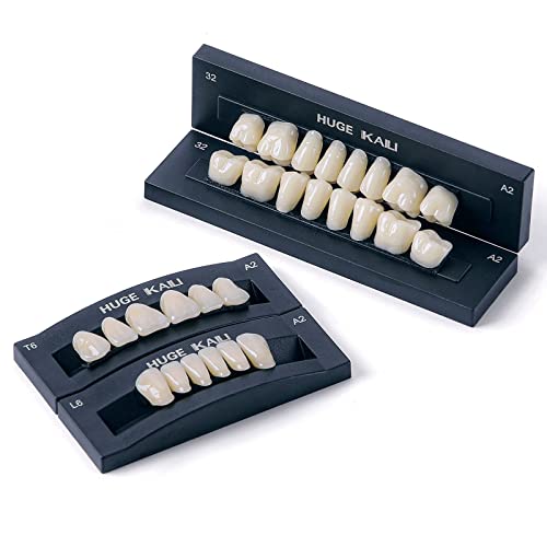 Image of Dental Acrylic Resin Denture False Teeth A2 T6 Synthetic Polymer Resin Fake Teeth for Dental Materials, Halloween, DIY (28 Pcs /Set)
