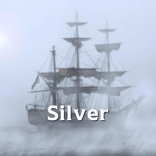Page de couverture de 1.11: Silver