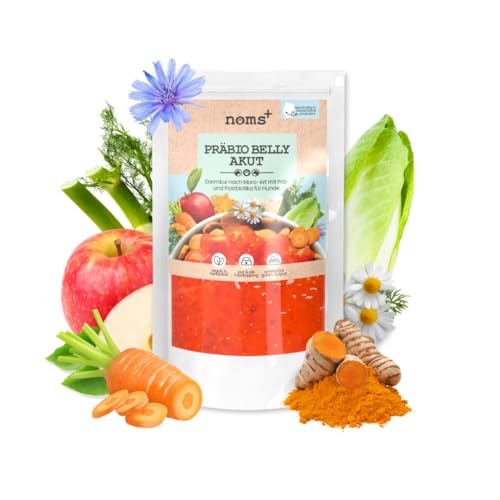 noms+ Präbio Belly Akut Topping für Hunde | 6X 200g | Pflanzliche Schonkost bei Magen-Darm-Beschwerden | mit Karotte nach Moro-Art | Präbiotika für eine gesunde Darmflora - Ready to eat