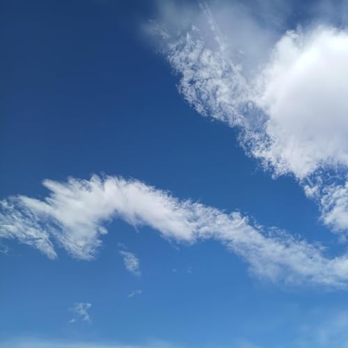 Psalm Chapter 11-12-13-14