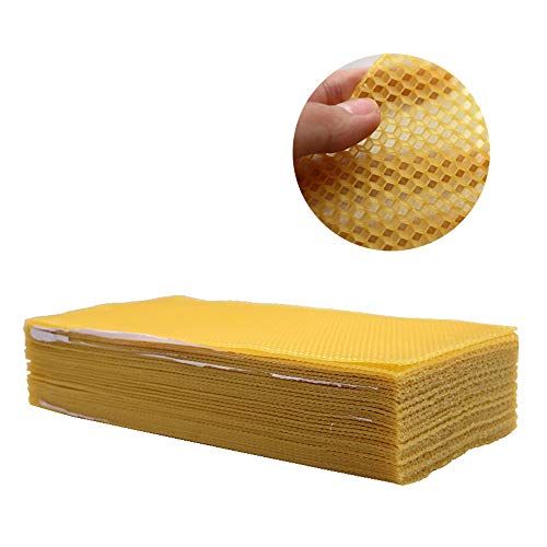 LYY Beekeeping Tool, Italian Bee Natural Beeswax Base Beehive, Fast Nesting And High Yield (30PCS)