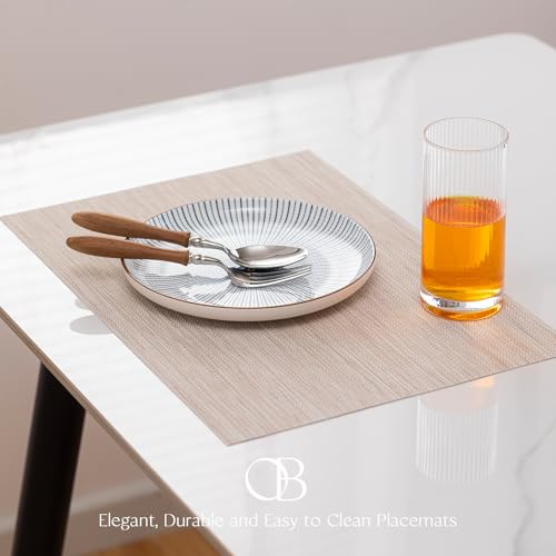Image of Dining Placemats Set of 4 Beige