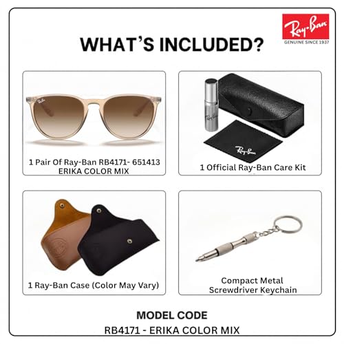 Image of Ray-Ban RB4171 ERIKA COLOR MIX Phantos Shaped Sunglasses for Women with Official RAYBAN Eyewear Kit