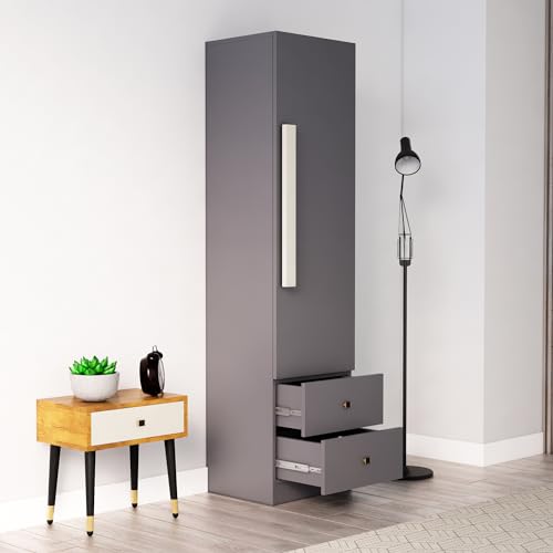 Image of Bniture Wooden Almirah for Clothes, Door for Bedroom, 1 Door Wardrobe with 2 Drawer & Hanging Space 3 Years Warranty (Slate Grey)