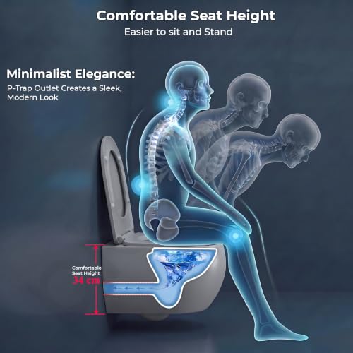Image of Plantex Commode for Toilet /Rimless Wash Down Commode /Wall Hung Toilet with Soft Close Toilet Seat - P Trap (Matt Grey)