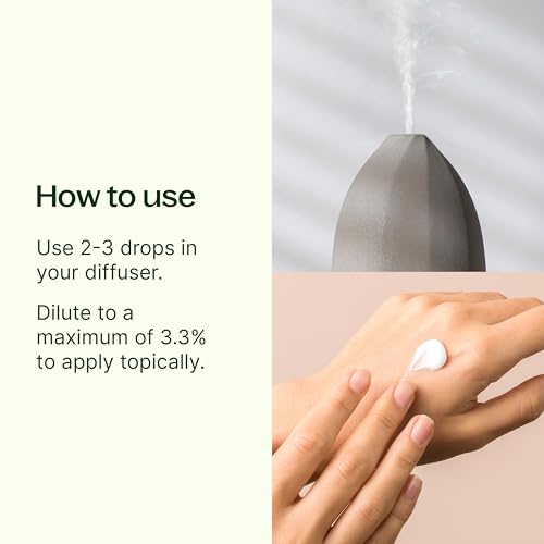 Aceite esencial de albahaca linalol orgánico USDA 10 mL miniatura 2