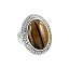 Tiger|Eye