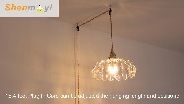 Image of Shenmoyl Plug in Pendant Light Hanging Light Fixtures with Plugin Cord On /Off Switch,Clear Scindapsus Glass Lampshade Brass Pendant Light