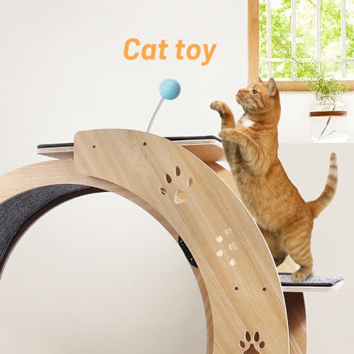 Rovibek Cat Exercise Wheel Indoor, 4 in 1 Cat Running for Indoor, Litter Fitness Wheels with Climbing Ladders and Bowls, Silent Roller, Solid Wood