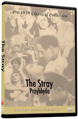 The Stray - Przybleda
