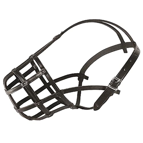 Dino Bigioni Metall Maulkorb - Für Kleine Hunde 8cm Länge 25cm Umfang