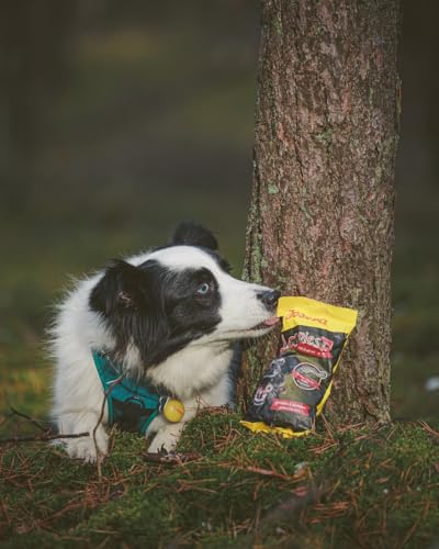 JOSERA Meat Chunks Chicken (8 x 70 g) | Adult | Premium Snack für Hunde mit Huhn | 90% Fleischanteil - super schmackhaft | zuckerfrei & getreidefrei | schonend getrocknetes Leckerli | 8er Pack