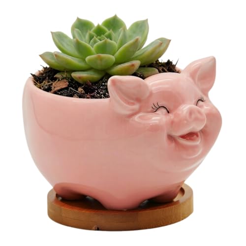 Succulent Pots, Cute Animal Pig Shaped Ceramic Cactus Flower Planters with Bamboo Tray -Plant Not Included (Pink, Medium)