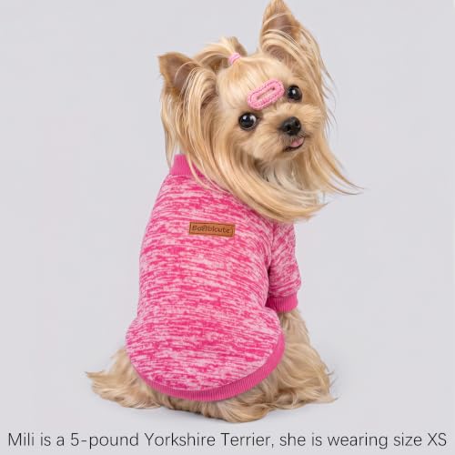 Image of 2 Pack Dog Sweaters for Small Dogs Girl Boy Winter Fleece Clothes Warm Soft Dog Sweatshirt Outfit for Dogs Cats Pet Apparel (Rose+Red, XS (Back: 9.8 inch,Chest: 13.7 inch, 3.5-5.5lbs))