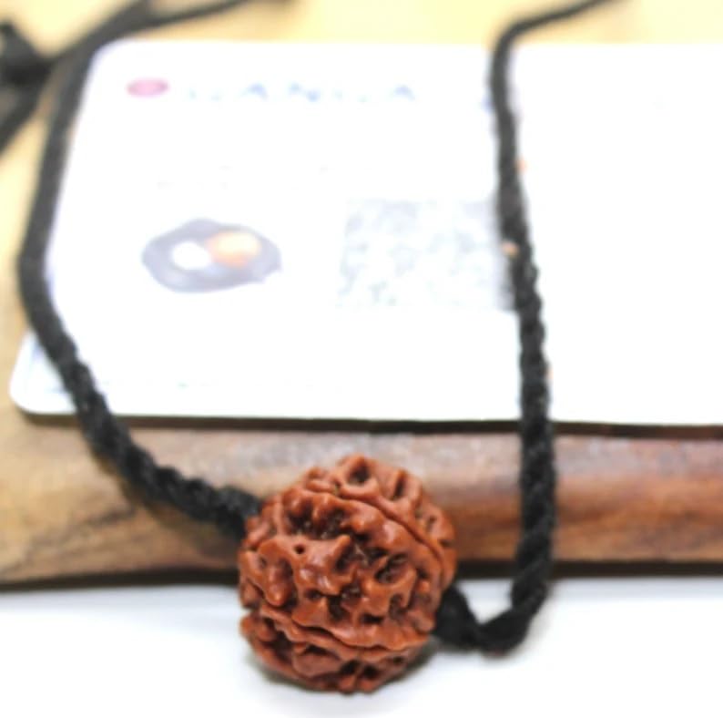 Rudraksha Pendant 7 Mukhi Original Lab Certified Rudraksh Mala Bead Necklace on Adjustable Cotton Cord, Shiva Jewelry, Ayurveda Yoga Energy Hindu Protection Necklace for Men & Women2