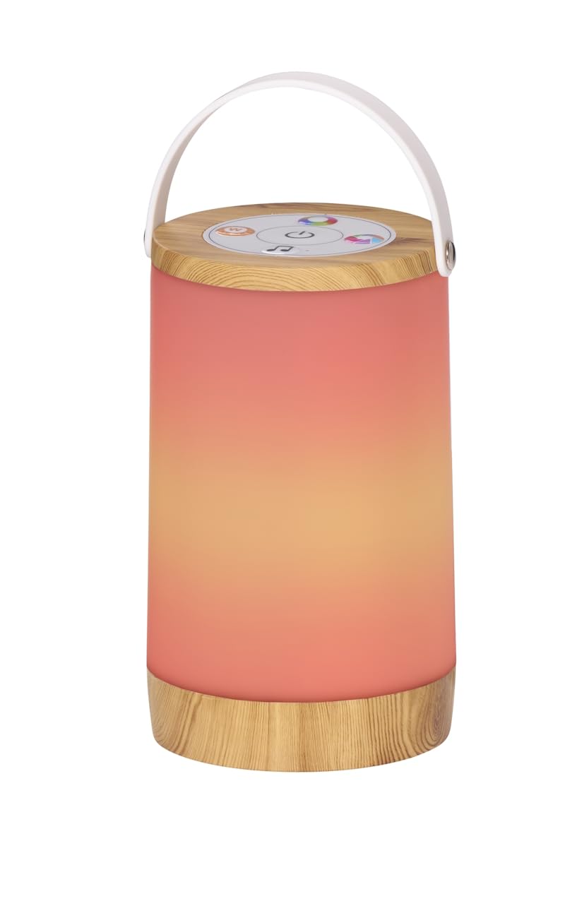 Northpoint LED RGB-IC Laterne für Innen und Außen Regenbogeneffekt Soundsteuerung Holzoptik Northpoint LED RGB-IC Laterne für Innen und Außen Regenbogeneffekt Soundsteuerung Holzoptik
