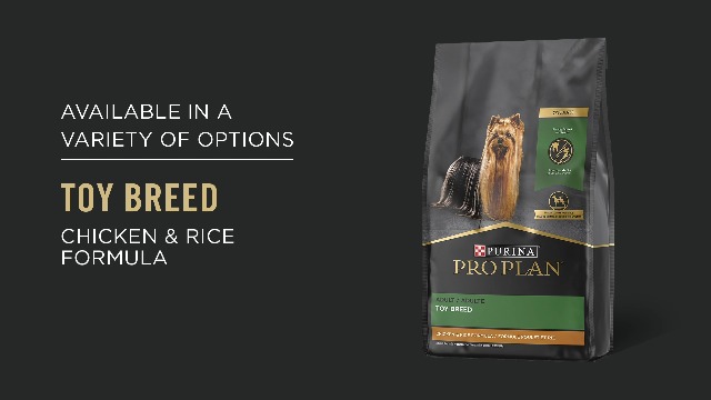 Purina Pro Plan Small Breed Dog Food With Probiotics for Dogs, Shredded Blend Chicken & Rice Formula - 6 lb. Bag - Image 8