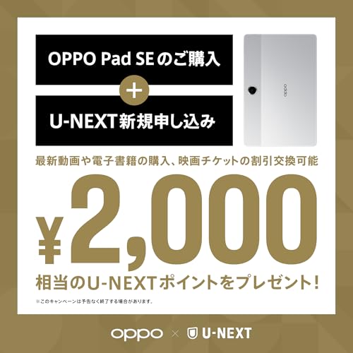 OPPO OPPO Pad SE + Case の商品画像 8