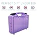 Life Made Better Sturdy Toy Storage Carrying Case, Compatible with Pomsies, Holds 3-5 Interactive Toys, Purple