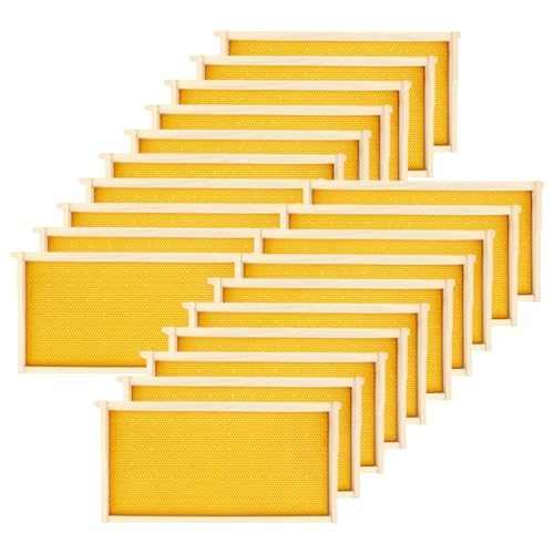 Honey Lake 20 Pack Deep Beehive Frames Kit with Durable Wooden Frames and Food-Grade Beeswax-Coated Plastic Foundations for Beekeeping (Yellow)