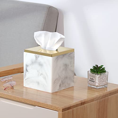Luxspire Resin Paper Tissue Box Cover Holder, Modern Square Facial Tissue Case With Detachable Metal Lid, Toilet Paper Holder Napkin Dispenser For Office Bedroom Car Bathroom Vanity, Ink White + Gold #TOP5
