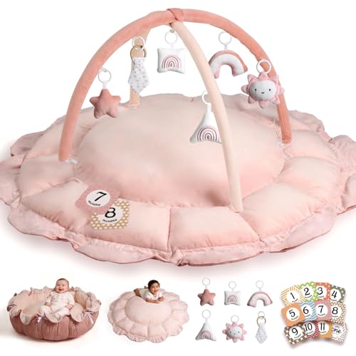 HAN-MM 5-in-1 Convertible Baby Play Gym with 6 Toys, Tummy Time Mat for Sensory Development, Baby Activity Center from Newborn to Toddler, Ball Pit, Cat & Dog Bed, Soft Plush Pet Bed, Pink