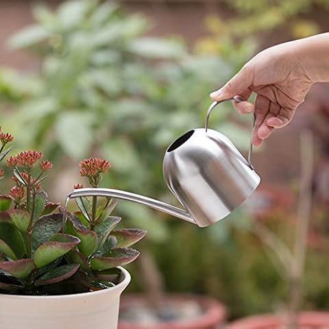 BeautySay ABC Watering Can, Stainless Steel Long Nozzle Watering Pot with Handle for Plants Houseplant Patio Plants Hanging Plants and Outdoor Gardens (500ML/17.6OZ) Cover