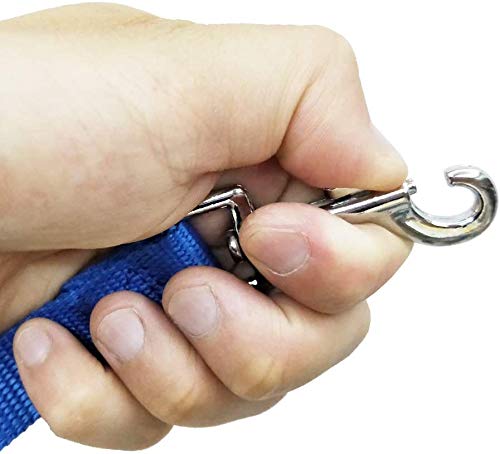 Image of Nylon Dog Training Lead Dog Leash Long Leash15 Ft Long Leash for Dogs (1 inch Wide) (Blue, 15 Feet)