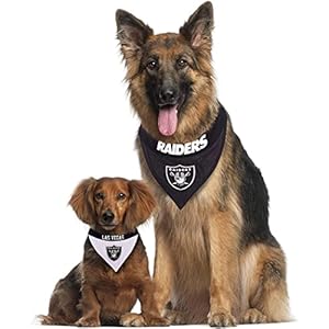 Pets first nfl las vegas raiders reversible bandana size xx large for dogs  cats 2 sided sports bandana premium embroidery team logo many nfl teams available   cucciolini doodles
