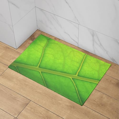 Alfombra antideslizante bañera y cocina rectangular de 50x80cm 4