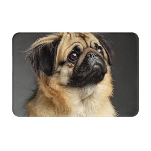 Image of AUBKFELD Cute Pug Dog Printed Door Mat 60x40 CM - Flannel Non-Slip Floor Mat Doormats for Home Entrances and Pet-Friendly Spaces
