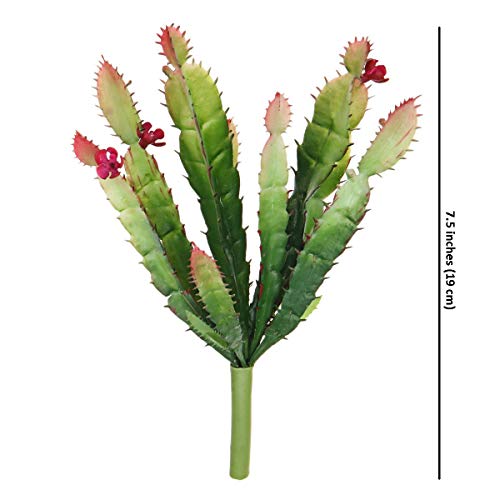 ShoppeWatch Piante Grasse Artificiali per Cactus