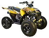 HHH Sporty 125E ATV 125cc ATV Quad for Youth Sports Utility Gas Power Sports ATV with Reverse Led Lights Big Tires 18/19 (Yellow)