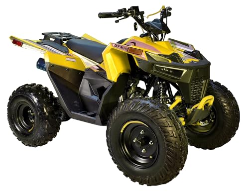 HHH Sporty 125E ATV 125cc ATV Quad for Youth Sports Utility Gas Power Sports ATV with Reverse Led Lights Big Tires 18/19 (Yellow)