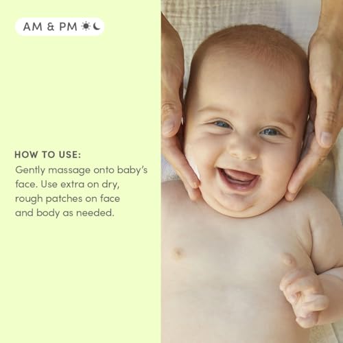 Image of Evereden Nourishing Baby Face Cream 1.7 oz. | Non-Toxic and Fragrance-Free Face Lotion | Rich, Non-Greasy Baby Moisturizing Cream | Face Moisturizer with Clean Ingredients