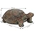Sunnydaze Talia The Tortoise 29-Inch Glass Fiber Reinforced Concrete Garden Statue