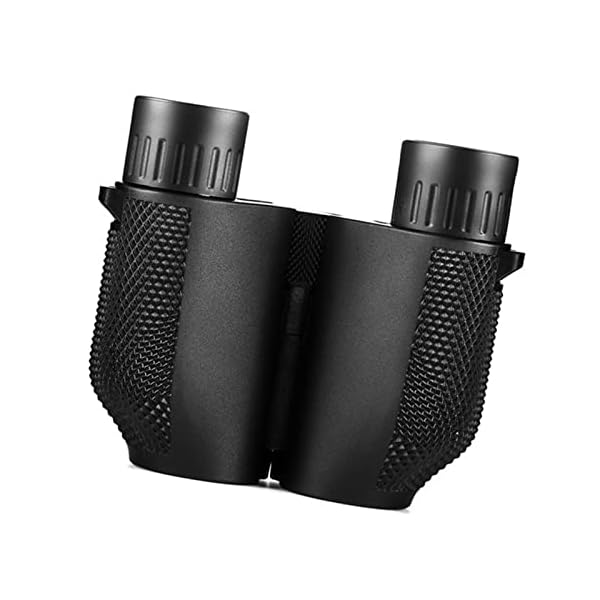 Fernglas 10x25 FerngläSer Mit Nachtsicht Hd Fernglas FüR Kinder Und Erwachsene Fernglas Klein Mit Bak4-Prismen Fmc Linse