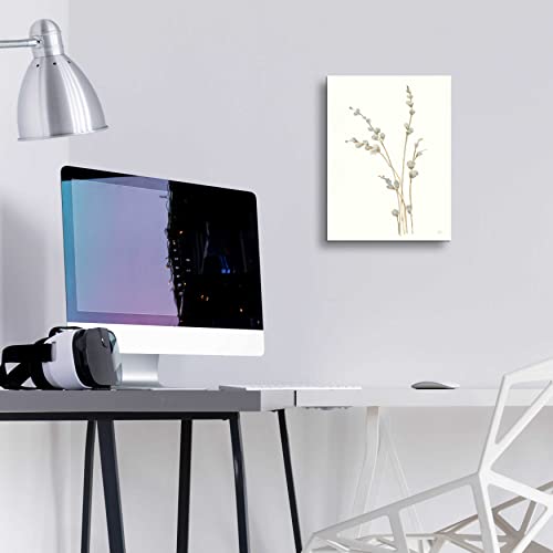 Epic Art 'Pussy Willows I' By Chris Paschke, Acrylic Glass Wall Art, 12"X16" #TOP3