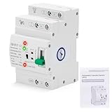 Interrupteur de transfert automatique, Dual Power 63 A 2P ATS pour camping-car et distributeur de maison, commutation de courant de secours, commutation prioritaire de réseau, camping-car, forme compacte pour rail DIN