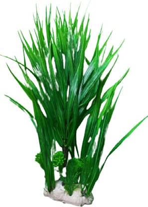 Kapoor pets™ Aquarium Decoration Grass Plant for Fish Tank Size 14 * 6 inch Aquarium Plant Anchor ((Plant Anchors1) (B0995WNVFP) Amazon Price History, Amazon Price Tracker