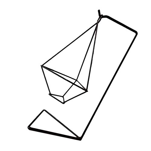 POPETPOP Carrinho de Exposição Titular Vaso de Vidro Hidroponia Plantador de Ferro Ornamento Stand P