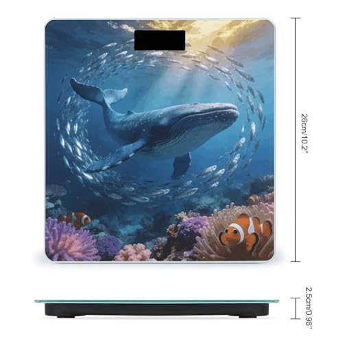 Báscula Digital de Baño con Diseño Oceánico y Pantalla LCD miniatura 2