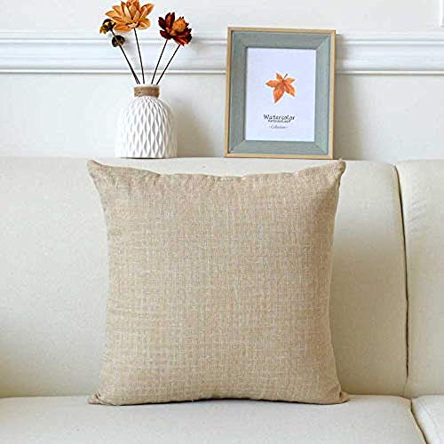 QWE La Almohada Almohada Moderna Simple de la Almohada del sofá de la Almohada Sala de Estar Moderna casa Almohada de la cabecera Almohada de la Siesta 40X40cm / Grass Green @ Light_Flax