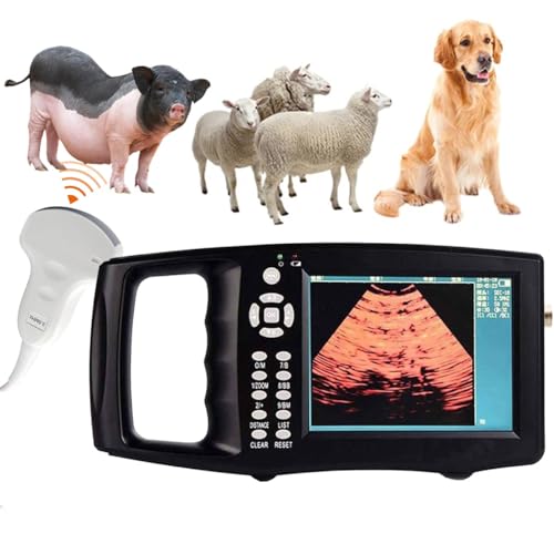 Analizzatore veterinario di ultrasuono con lo schermo di HD e riscaldamento un-chiave per rilevazione animale di gravidanza